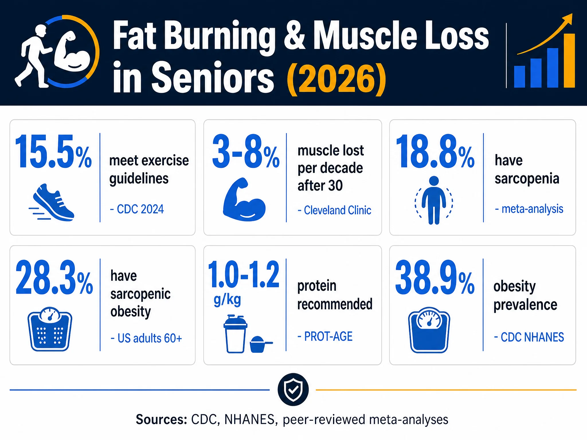 Key statistics infographic: fat burning and muscle loss in seniors 2026